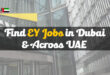 EY Careers