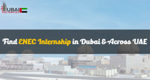 ENEC Internship