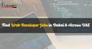 Web Developer Jobs